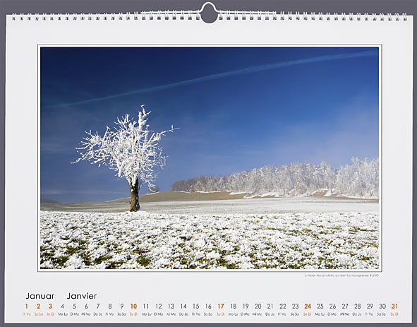 Januar Januar